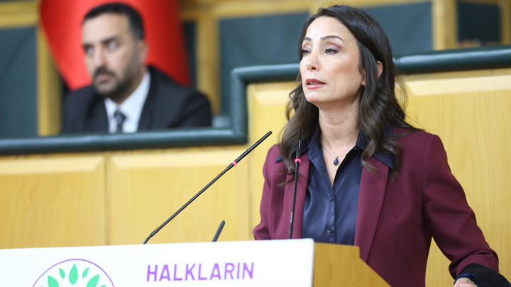 DEM Parti Eş Genel Başkanı Hatimoğulları: Komisyon somut adımlara yoğunlaşmalı