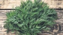 Dereotunun Sağlık Faydaları Saymakla Bitmiyor