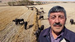 Devlet 5 Bin Liraya Kadar Destek Veriyor! Bölge Üreticilerinin Gözdesi Oldu