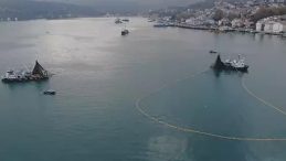 DMM'den 'İstanbul Boğazı'ndaki Balık Soykırımı' İddialarına Yalanlama