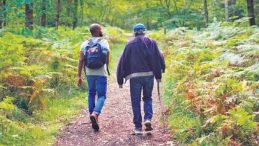 Doğada 20 Dakika Şifa İmkanı