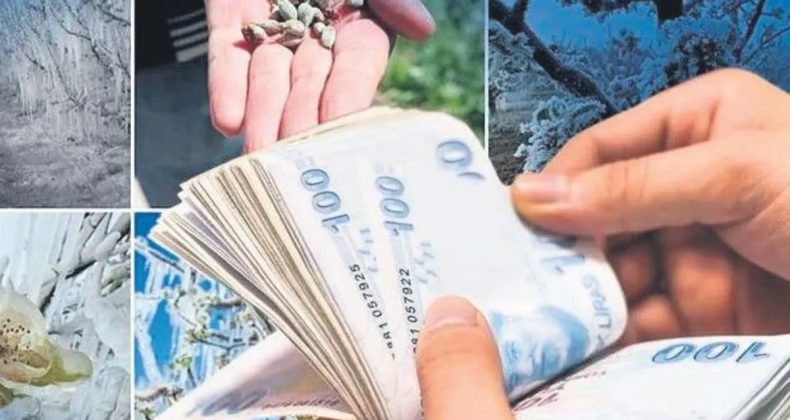Dön mağdurlarına 46.5 milyar TL destek