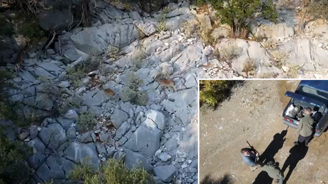 Dronlu Denetimde Yakalandı! Gece Gündüz Denetimler Devam Ediyor