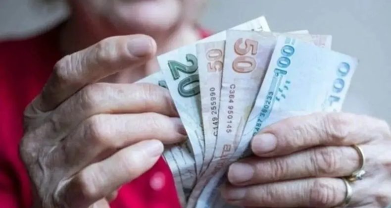 Ekim Ayı İçin SED Ödemeleri Hesaplara Aktarıldı