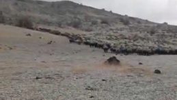 Elazığ'da Korkutan Görüntüler: Yanı Başına Yıldırım Düştü!