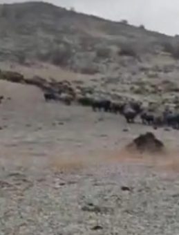 Elazığ'da Korkutan Görüntüler: Yanı Başına Yıldırım Düştü!