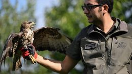 Elektrik Akımından Felç Geçirmişti! Kızıl Şahin'in Hayata Dönüşünü Sağlayan Büyülü Eller…