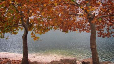 Fırat Nehri Kıyısındaki Sonbahar G&uuml;zellikleri