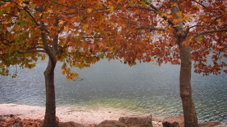 Fırat Nehri Kıyısındaki Sonbahar Güzellikleri