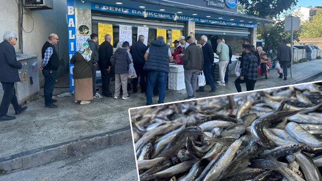 Hamsi Fiyatları 25 TL'ye Düşünce Vatandaşlar Sıraya Girdi!