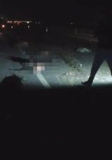 Hatay'da Tır ve Hafif Ticari Ara&ccedil; Hayvan S&uuml;r&uuml;s&uuml;ne &Ccedil;arptı