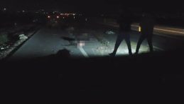 Hatay'da Tır ve Hafif Ticari Araç Hayvan Sürüsüne Çarptı