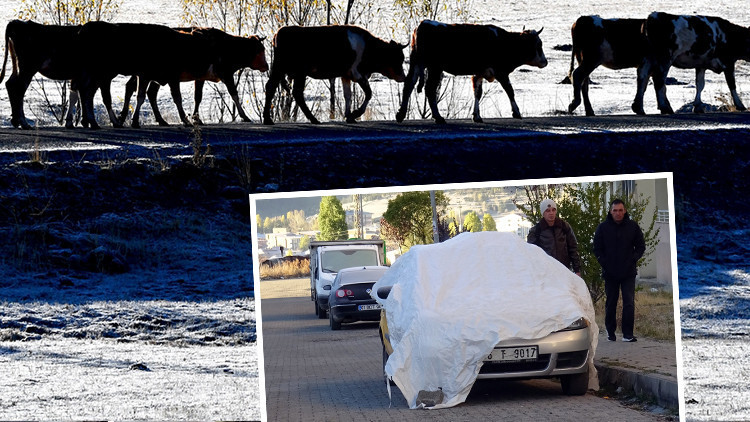 Hava Sıcaklığı Eksi 6 Dereceye Düşerek, Etkileyici Kar Manzaraları Oluşturdu!