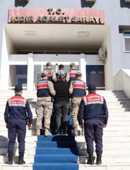 Iğdır'da Köpek Dövüşüne Jandarma Baskını: 14 Gözaltı