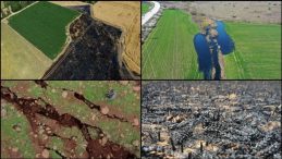 İklim değişikliğiyle mücadelede yeni adım: Eylem planı güncelleniyor