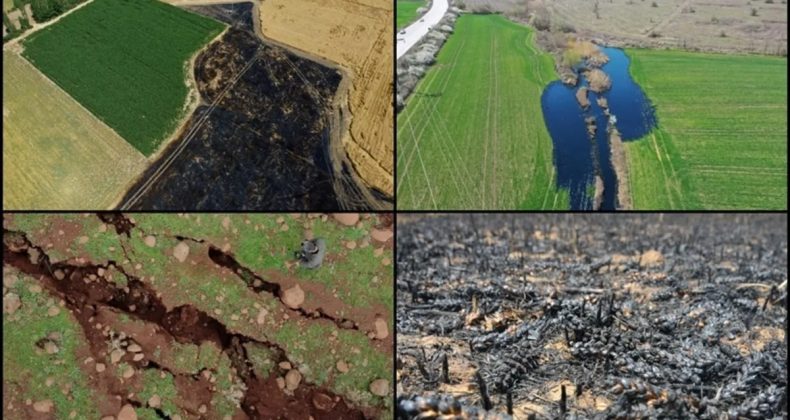 İklim değişikliğiyle mücadelede yeni adım: Eylem planı güncelleniyor