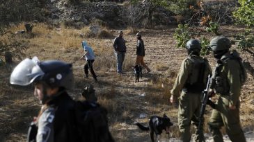 İşgalci İsrail'den insani değerlere aykırı uygulama: Batı Şeria&rsquo;da tarıma yasak!
