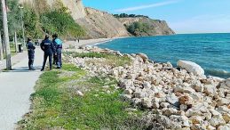 İstanbul Silivri'de Dehşet Verici Olay: 23 Yaşındaki Mustafa Özcan'ın Cansız Bedeni Bulundu!
