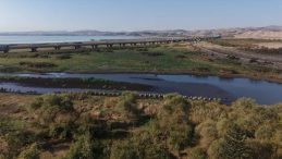 İstanbul'da Barajlar Tehlikeli Seviyede! Bir Barajın Doluluk Oranı Y&uuml;zde 2'ye Geriledi!