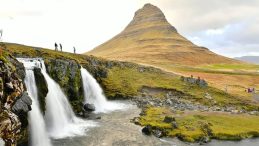 İzlanda’da Bir İlk: Rekor Sıcaklıkların Ardından Sivrisinekler Belirdi