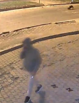 Kahramanmaraş'ta Şok: Aynı Market Üçüncü Defa Saldırıya Uğradı!