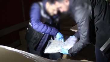 Kapıkule ve İpsala G&uuml;mr&uuml;k Kapılarında 525 Kilo Esrar Ele Ge&ccedil;irildi