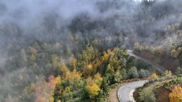 Karadeniz Yeniden Büyüleyici! Sonbaharın En Güzel Tonlarını Keşfedin…