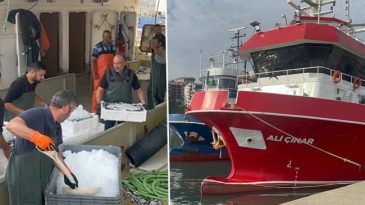 Karadeniz'den Kasalarca Hamsi &Ccedil;ıktı! Fiyatlar 150 Lira Birden D&uuml;şt&uuml;