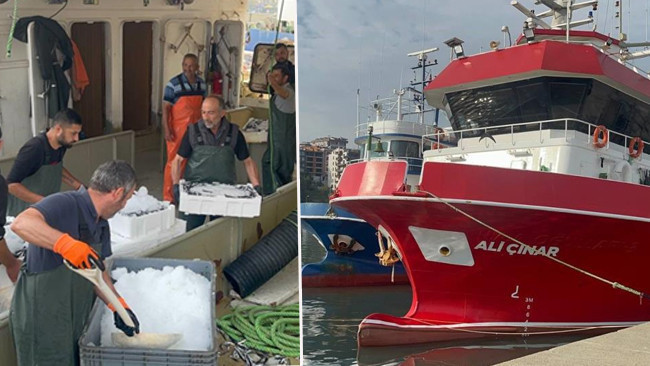 Karadeniz'den Kasalarca Hamsi Çıktı! Fiyatlar 150 Lira Birden Düştü