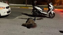 Karaköprü’de Bıçaklı Saldırı: 1 Kişi Hayatını Kaybetti