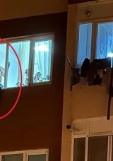Kayınpederini Bı&ccedil;aklayıp Eve D&ouml;nd&uuml;: Damat G&ouml;zaltına Alınmak i&ccedil;in 4 Saat Direndi!
