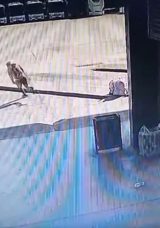 Kocaeli Otogarı'nda Gergin Anlar! Bir Anlık Olay Kamera Kayıtlarına Yansıdı