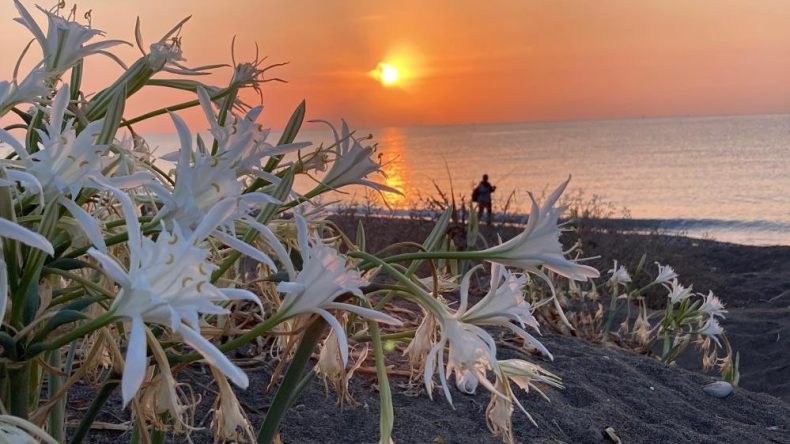 Koparmanın Cezası 2 Milyon 800 Bin TL Olacak! Öğrenciler Koruma İçin Kolları Sıvadı
