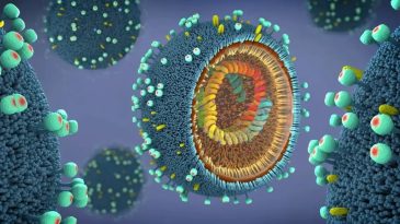 Malezya&rsquo;da Vir&uuml;s Alarmı: Okullarda Eğitime Ara Verildi