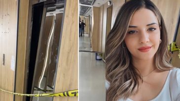 Mersin'de Asans&ouml;r Faciasında İhmal Zinciri: Rapor Sonu&ccedil;ları