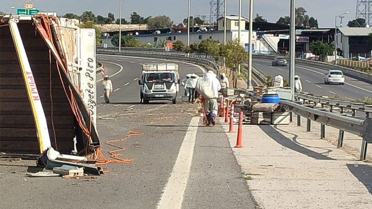 Mersin'de ilginç kaza: Binlerce arı otoyola saçıldı
