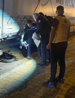 Motosiklet TIR’a çarparak feci şekilde can verdi: 20 yaşındaki sürücü yaşamını yitirdi