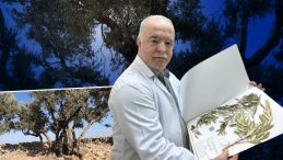 Nuh'un Gemisi Nerede? Zeytin Ağacından Gelen Delil…