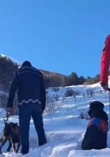 Paland&ouml;ken Dağı'nda &Ccedil;ığ D&uuml;şmesi: İki Ş&uuml;pheliye Dava A&ccedil;ıldı