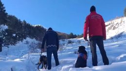 Palandöken Dağı'nda Çığ Düşmesi: İki Şüpheliye Dava Açıldı