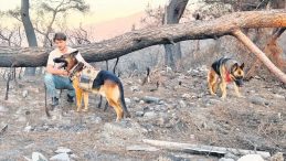 Patili dostlar doğa için koşuyor