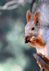 Renk Cümbüşü: Keklik Vadisi Sonbaharda Masal Diyarı Gibi