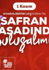 Safranbolu&rsquo;da Morun ve Dayanışmanın Hasadı: Anadoludakiler&rsquo;den Safran İmecesi