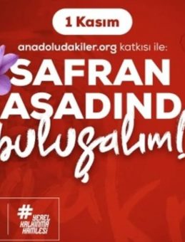 Safranbolu’da Morun ve Dayanışmanın Hasadı: Anadoludakiler’den Safran İmecesi