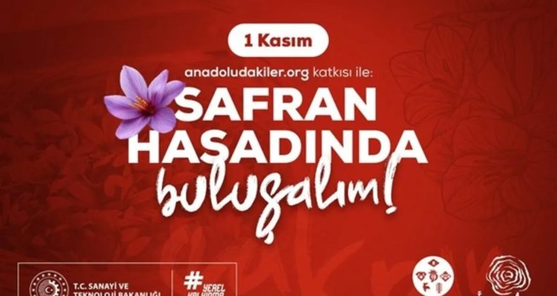 Safranbolu’da Morun ve Dayanışmanın Hasadı: Anadoludakiler’den Safran İmecesi