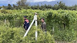 Sakarya'da 'Emek' Nöbeti: Bir Yıllık Emekleri Çalınmasın Diye Jandarma Ekipleriyle Omuz Omuza!