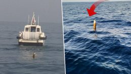 Salyangoz avcılığı yaparken görüldü! Karadeniz'de yine ortaya çıktı | 'Geldiler baktılar, alıp götürdüler'