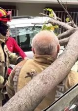Şiddetli R&uuml;zgar Beşiktaş ve Şişli&rsquo;de Ağa&ccedil; ve Elektrik Direğini Devrildi!