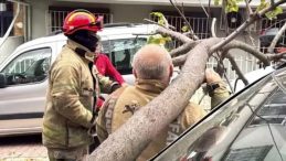 Şiddetli R&uuml;zgar Beşiktaş ve Şişli&rsquo;de Ağa&ccedil; ve Elektrik Direğini Devrildi!