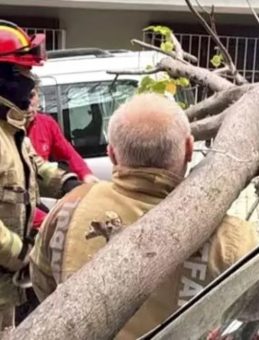 Şiddetli Rüzgar Beşiktaş ve Şişli’de Ağaç ve Elektrik Direğini Devrildi!